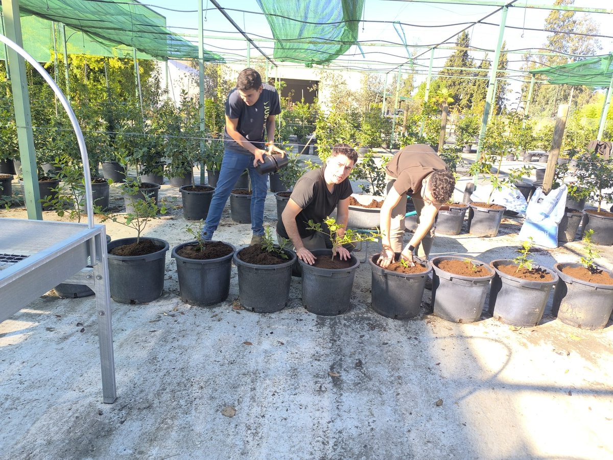 Prácticas en el vivero de Palazuelo
