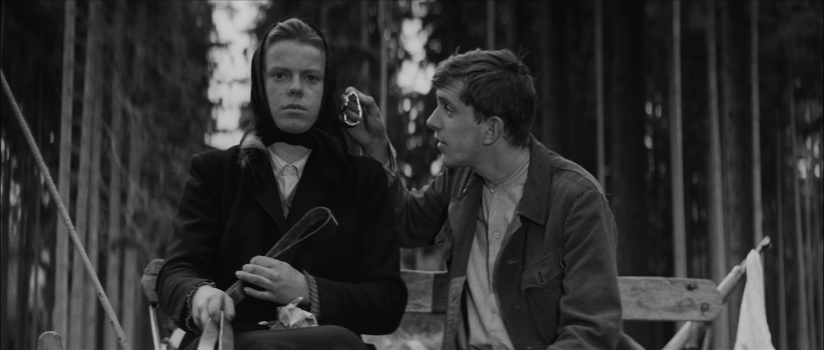 Filmoteca de Navarra-Nafarroako Filmoteka tweet media