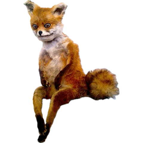 Hey it’s Lue (@luey_o) on Twitter photo 