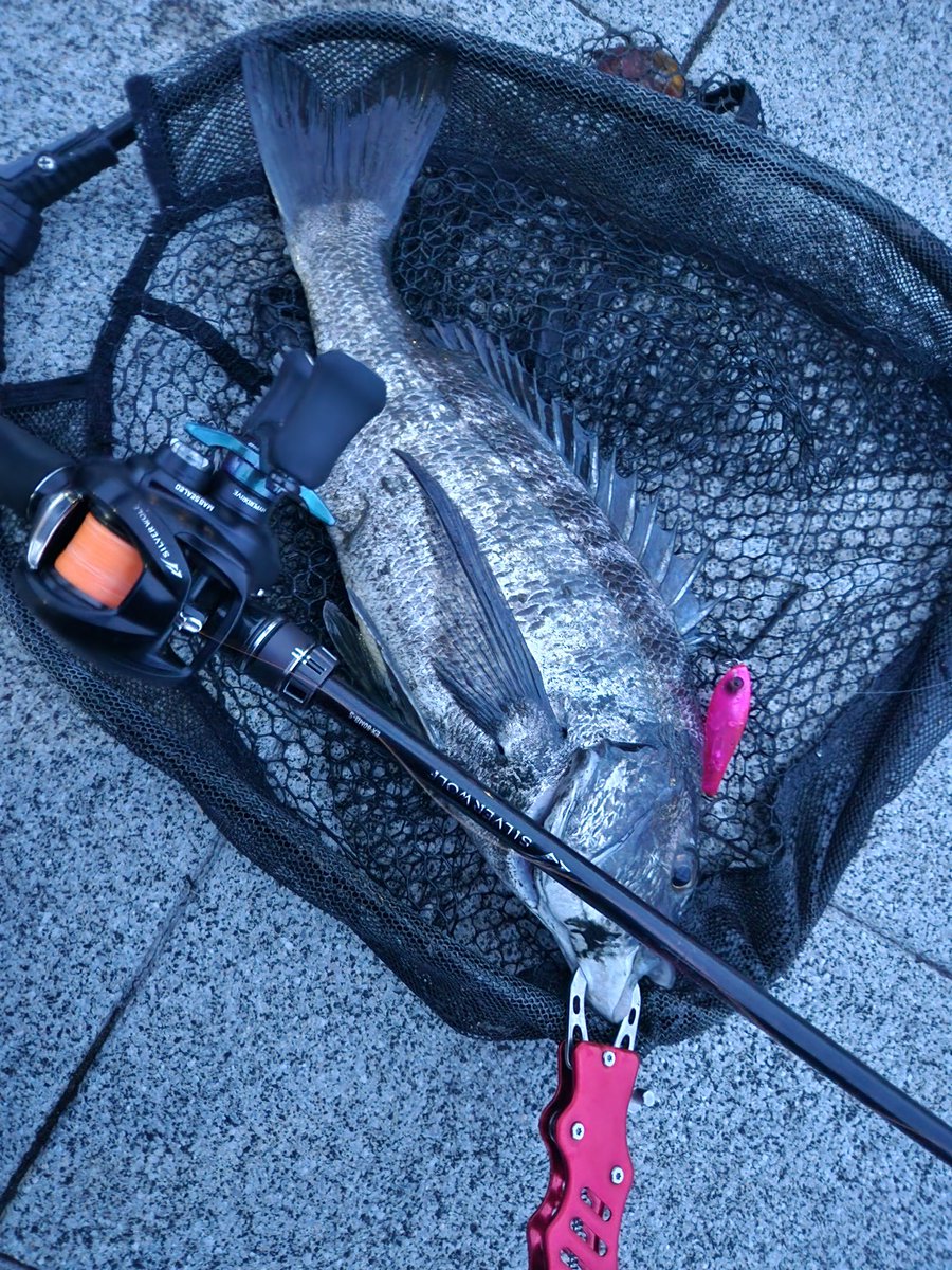 「★ダイワ22★様」 フォロー割‼️ DAIWA SW Fishing Shore (@d_sw_shore) / X