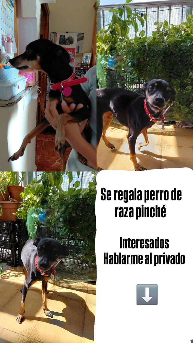 ojo de loca no se equivoca tweet media