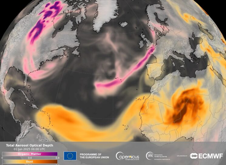 ReteClima's tweet image. 🔥 Un'estate di fuoco per l'Europa. Secondo il servizio Copernicus (CAMS), le #emissioni di carbonio generate dagli #incendi boschivi nel 2025 hanno raggiunto il livello più alto degli ultimi 23 anni. 📈 I dettagli 👇
canaleenergia.com/rubriche/clima…
Foto: #Copernicus