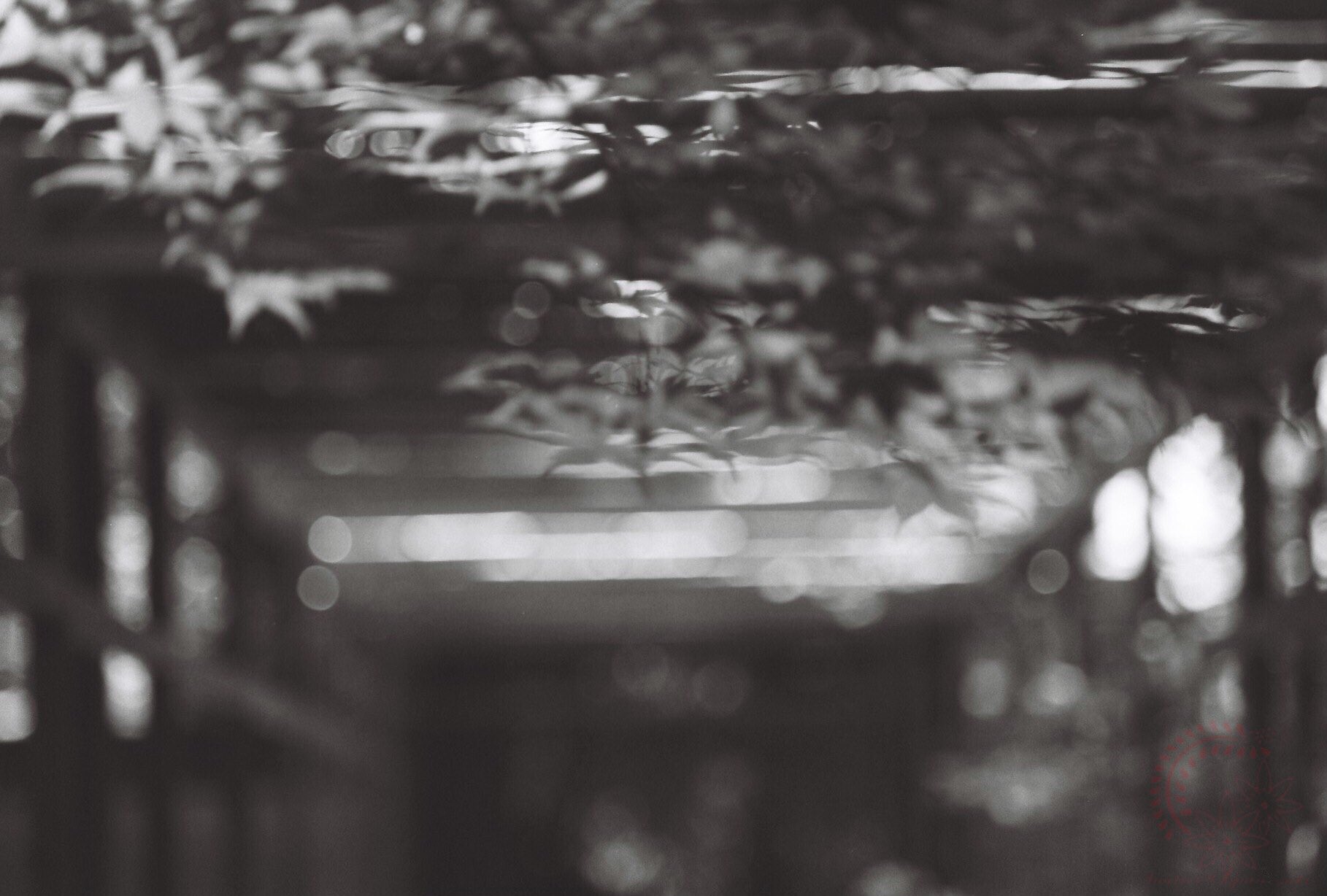 Nyagon (negative film photography lover) on X: 