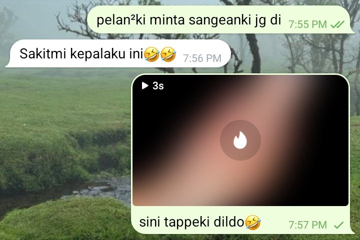 alpukatcoklat tweet media