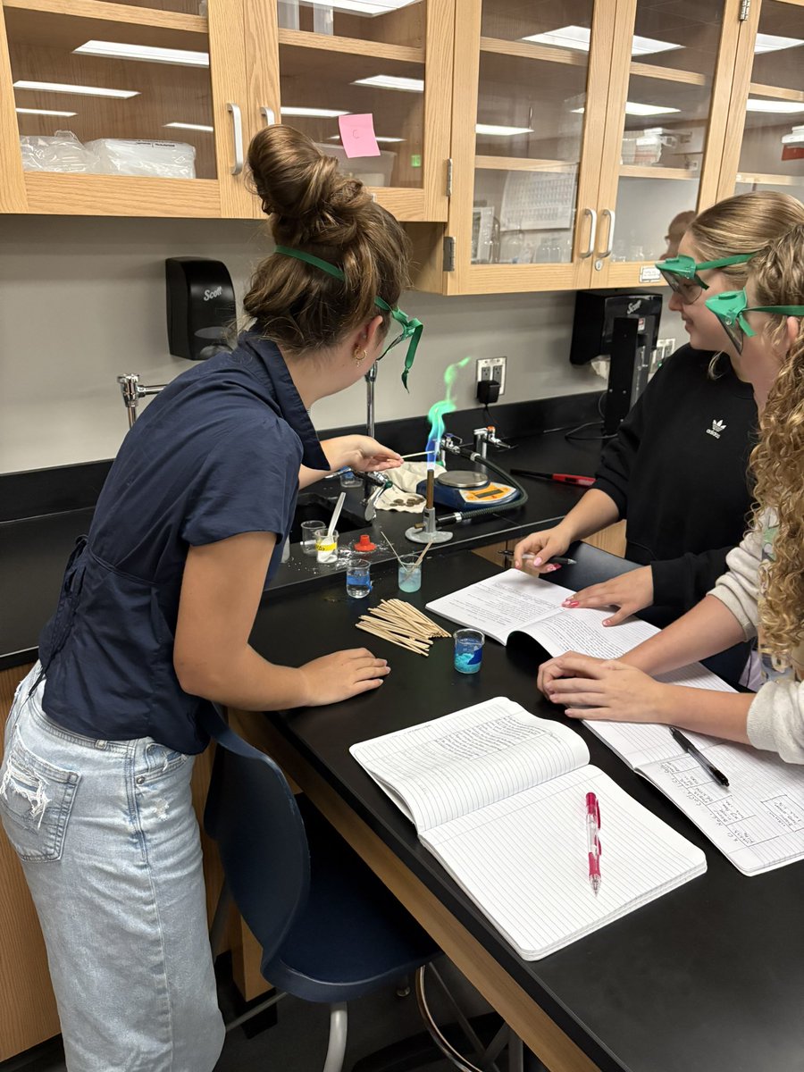 In the words of <a href="/billyjoel/">Billy Joel</a>, we didn’t start the fire!  Flame test and atomic emission spectra lab is always a fun one.