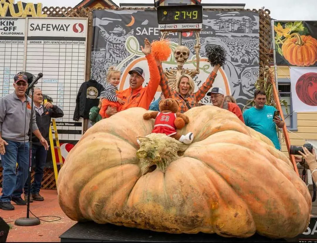 Did you know? The world record for the heaviest pumpkin is 2,749-pounds (1246.9kg)! In 2023 Travis Gienger won the 50th Safeway World Championship Pumpkin Weigh-Off held in Half Moon Bay, California.  What would you carve if you had a pumpkin that big? 🎃 #GiantPumpkin #FunFacts