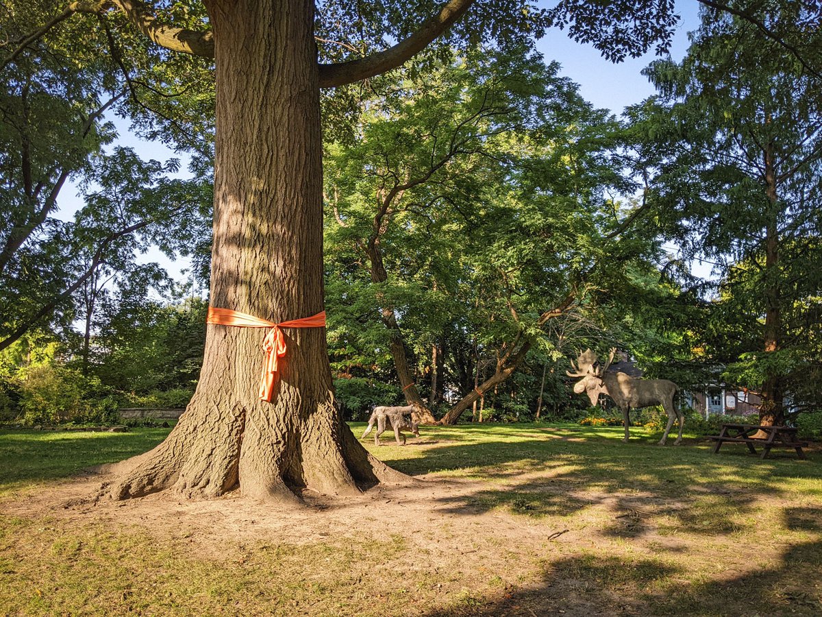 🧡 On National Day for Truth and Reconciliation, let’s honour Indigenous Peoples’ history &amp; culture! Explore ways to engage in Oakville.  ow.ly/BcrP50X3muk 
📸 Oakville Museum - orange ribbons stand as a collective reminder of the Indigenous children who were taken.