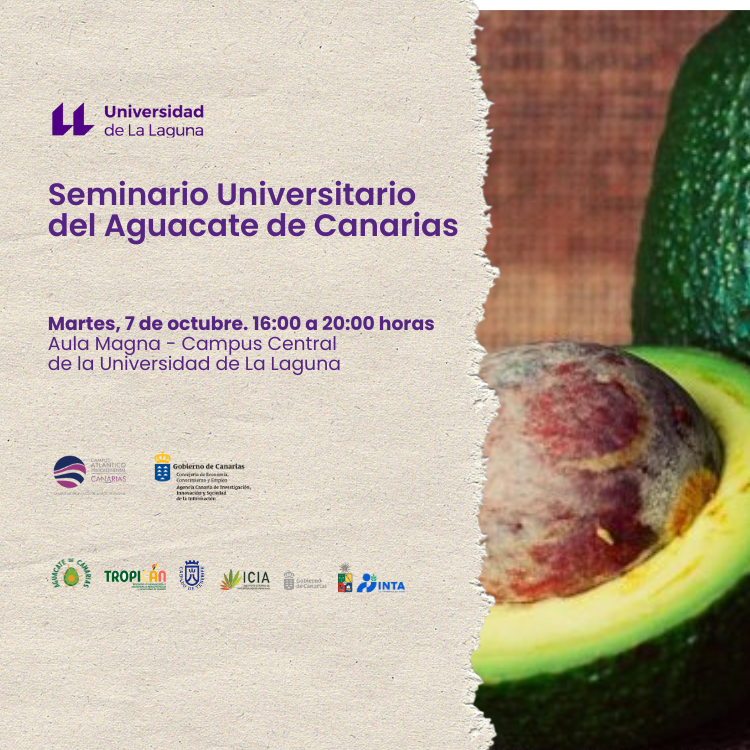 🥑 La Cátedra de Agroturismo y Enoturismo del Instituto Canario de Calidad Agroalimentaria y de la #ULL promueve este seminario centrado en el uso del aguacate dentro de una dieta saludable.

¡Apúntate! 👇

Inscripción 📱 sede.fg.ull.es/es/curso/detal…