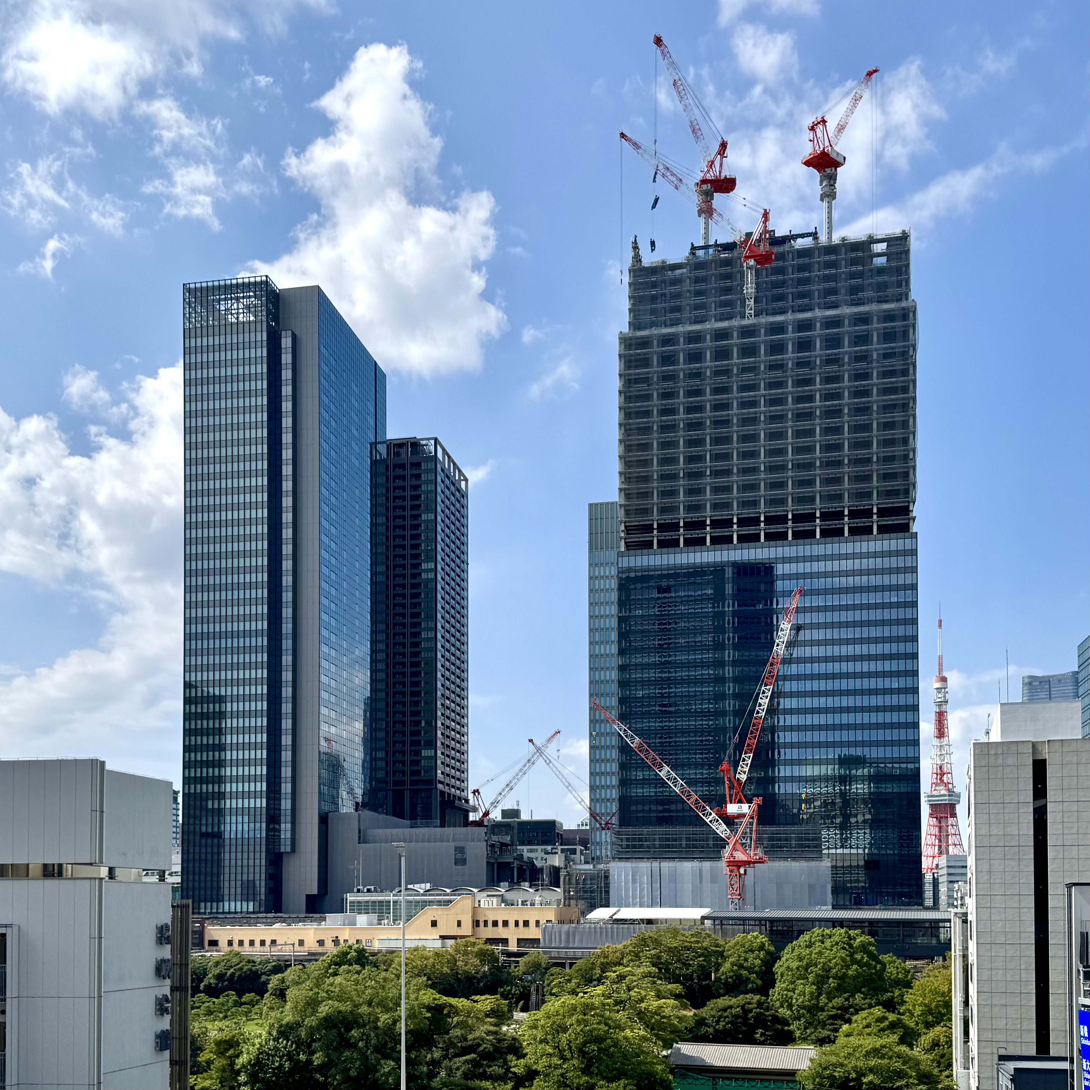 レムリアの叡智と、地球のガーデンが宿るクリスタルスカル レムリアの叡智と、地球のガーデンが宿るクリスタルスカル