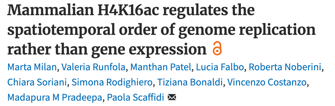 The Scaffidi Lab tweet media