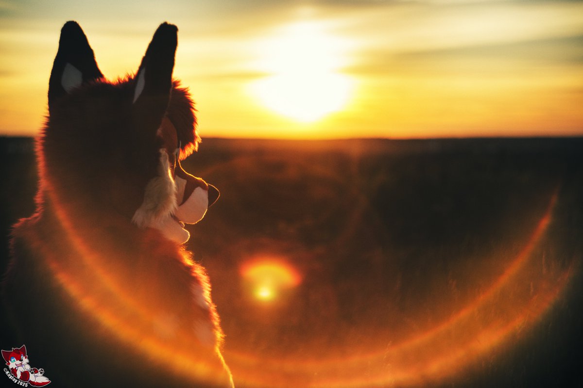 At the end of September. Summer went by too fast, as always. Luckily I got to spend an unforgettable summer with friends. Maybe those memories and my own busyness will carry me through the winter ^^

Have a nice week! ☀️ 

📸: <a href="/KayJayFIN/">KayJay</a>