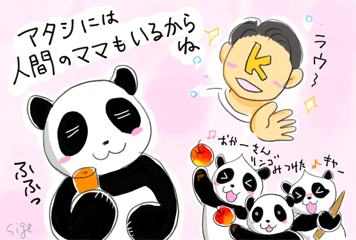 良浜が人間に慣れやすいとあったので・・😌 🐼🎀「おかーさん！彩
