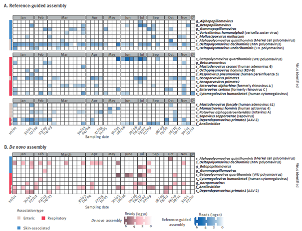 Jelle Matthijnssens (@jmatthijnssens) on Twitter photo ๐จ New paper in <a href="/Eurosurveillanc/">Eurosurveillance</a> - <a href="/9MustafaKaratas/">Mustafa Karatas</a>
We used shotgun metagenomics on indoor air in a Belgian daycare to track respiratory, enteric & skin viruses.
๐ 40/42 samples contained human virusesโeven when kids seemed healthy!
๐ Read here: pubmed.ncbi.nlm.nih.gov/41000028/ ๐จ New paper in <a href="/Eurosurveillanc/">Eurosurveillance</a> - <a href="/9MustafaKaratas/">Mustafa Karatas</a>
We used shotgun metagenomics on indoor air in a Belgian daycare to track respiratory, enteric & skin viruses.
๐ 40/42 samples contained human virusesโeven when kids seemed healthy!
๐ Read here: pubmed.ncbi.nlm.nih.gov/41000028/