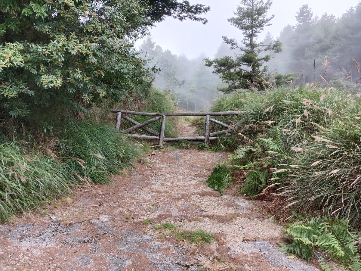 BadgerYogurt's tweet photo. 【妖精】
大大的雪山，大大的林
小小的身影，小小的靈
望一望山頭，鬆鬆的雲
碰一碰臉頰，圓圓的睛

長長的山徑，長長的影
短短的尾形，短短的巾
嚐一嚐霧氣，甜甜的冰
等一等朋友，慢慢的心

層層的羽翼，亮亮的鱗，花朵攀上了高高的莖
深深的毛皮，點點的星，我們遇上了皮皮的精

2025.9.29 大雪山 https://t.co/UhSnzLu1QH