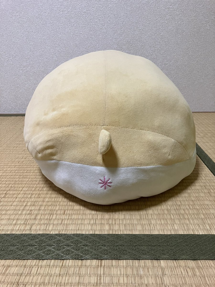 高1娘が毎晩一緒に寝てるぬいぐるみが、6年位でぺちゃんこになりました。（洗ったらダメなんだけど、よだ◯とか、ありますから😆何度か洗った）

やっと新しい綿をたっぷり注入！ナイスボディ？になりました。

後ろ姿の＊がかわいいでしょ😁
