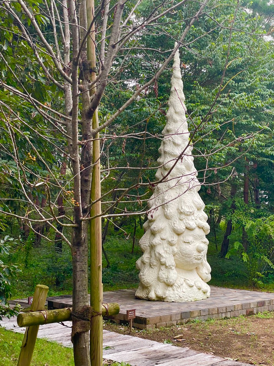 からだにいいこと」公式 (@karakoto_mag) / Posts / X