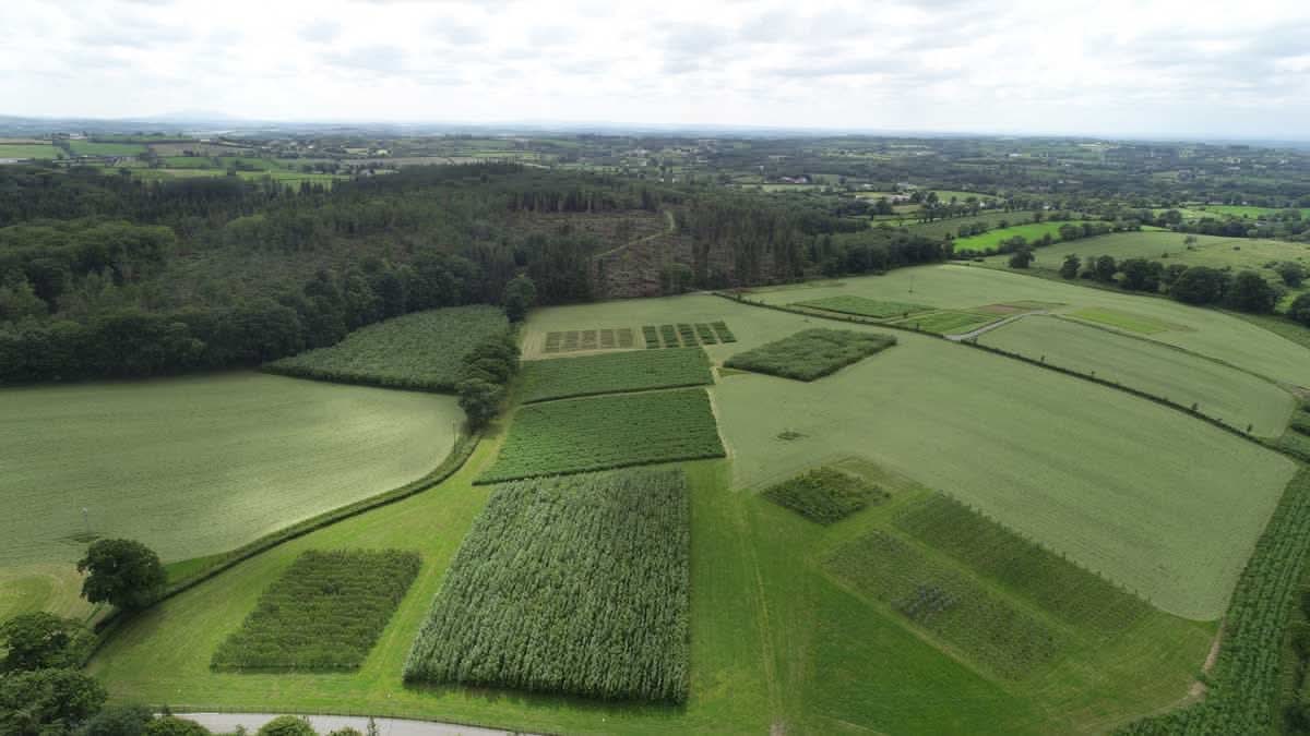 Biomass Connect tweet media