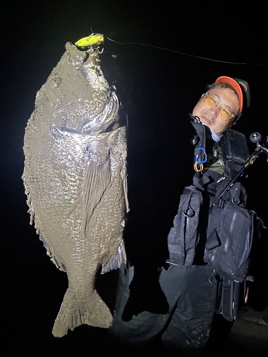 中馬貴寛 tweet media