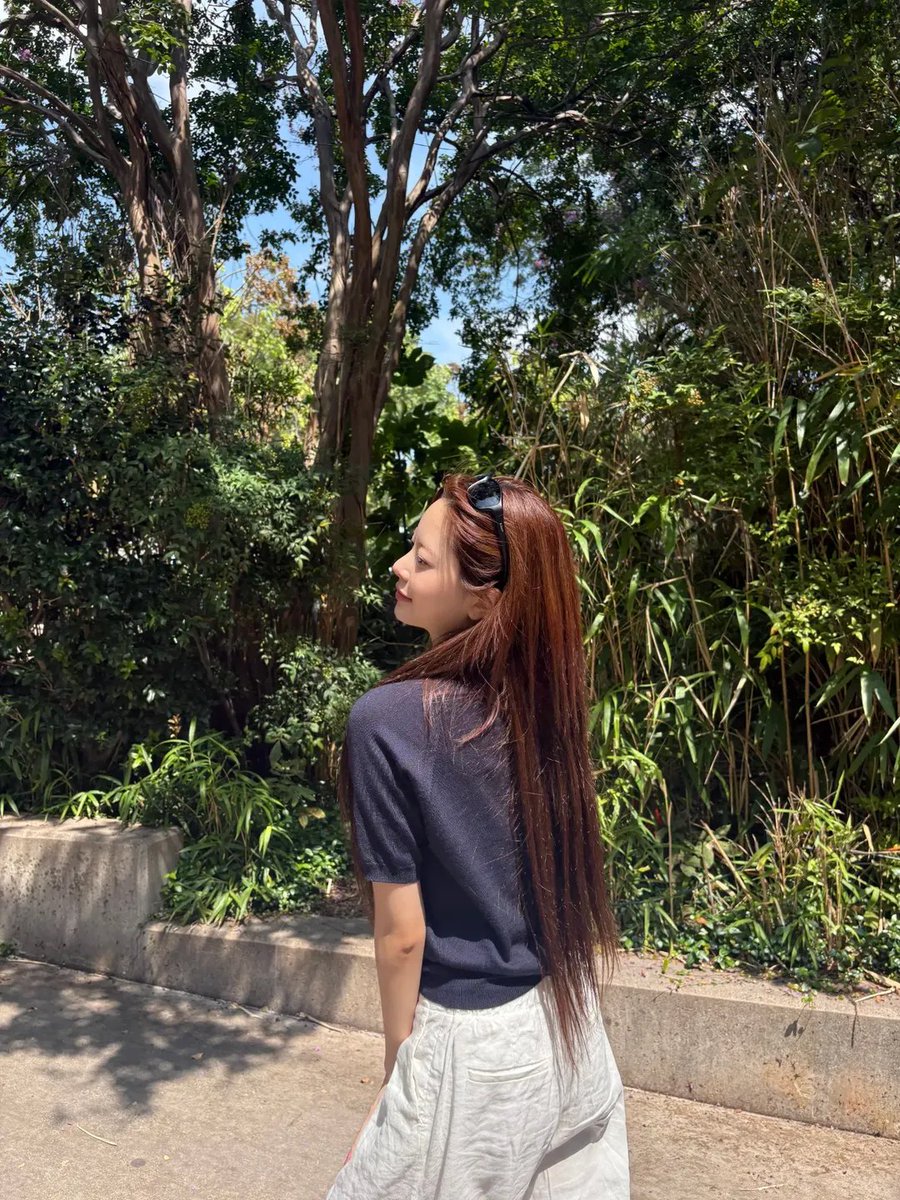 Sunshine tweet media