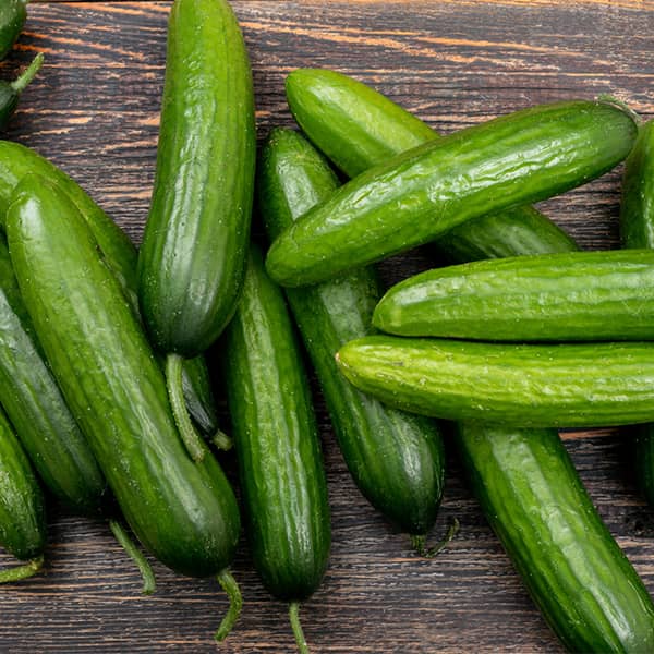 VirtualsAddict's tweet image. دختره با آبجیش میره تره بار...
دختره ب فروشنده
دوتا خیار میخام
خواهر کوچیکه
دو تا دیگه ب خوردن نمیگیری؟
همین