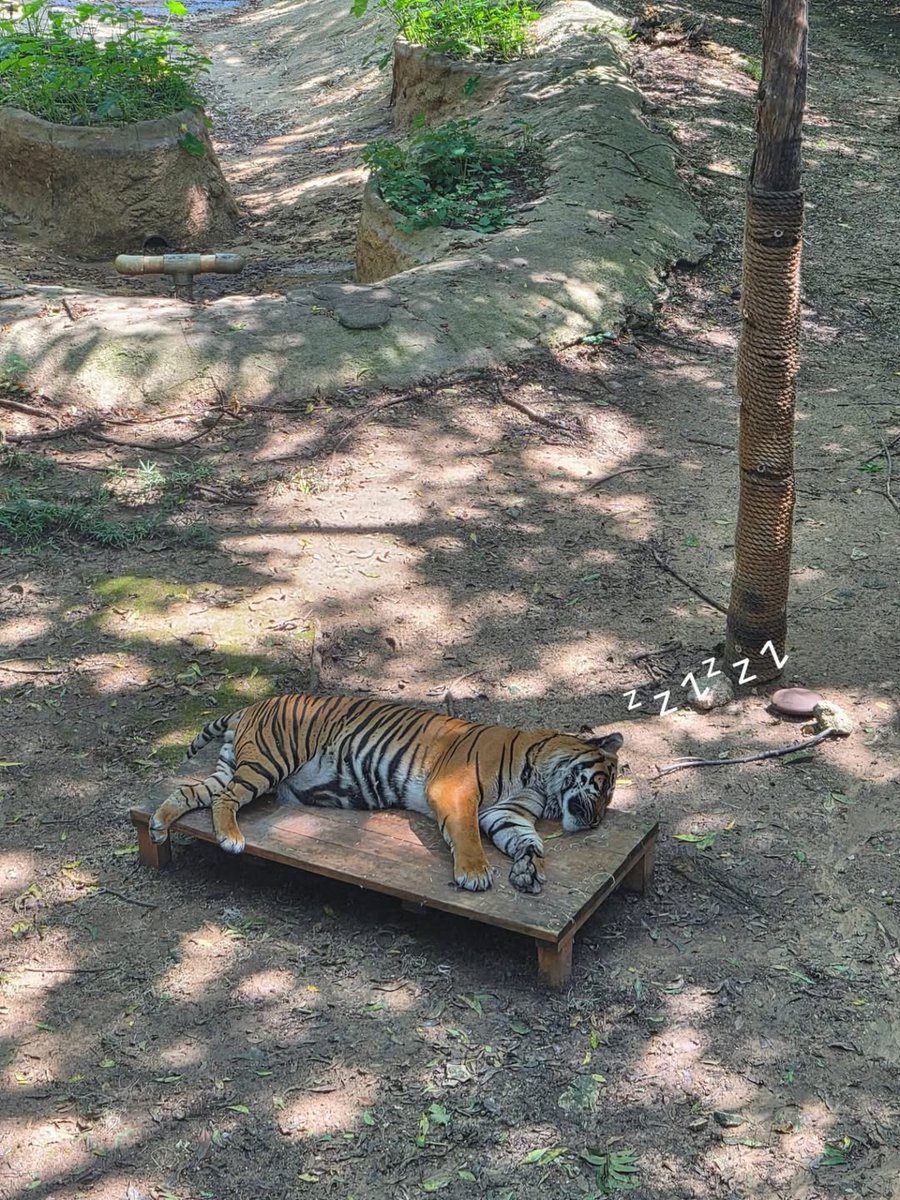 Sunshine tweet media