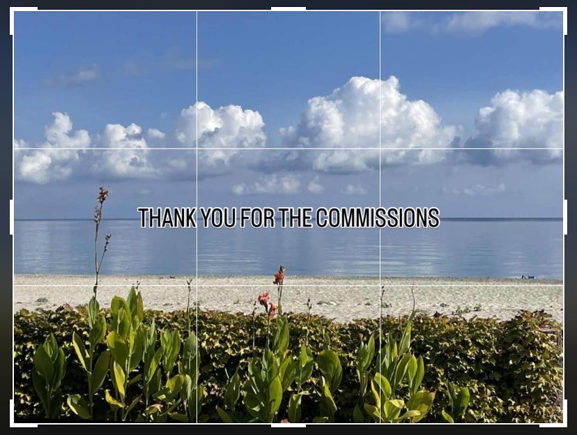 Another commission finished☺️