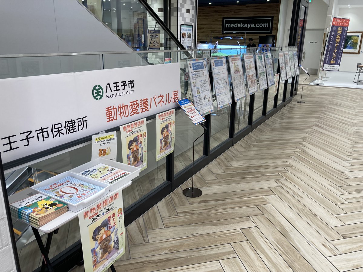 八王子市長の動き tweet media