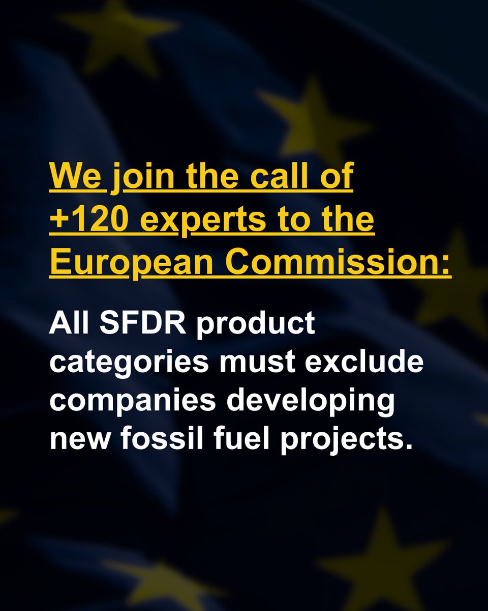 Companies supporting new fossil fuel projects have no place in sustainable funds.
FIDH is among 120+ organisations, experts &amp; institutions urging the EU to exclude these investors from all #SFDR categories to stop greenwashing &amp; align with climate science.
fidh.org/en/issues/busi…
