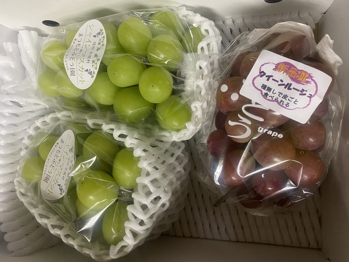 プレゼント受け取りました🎁

美味しい葡萄🍇
冷やしていただきます❗️😋
ありがとうございました❗️⭐️