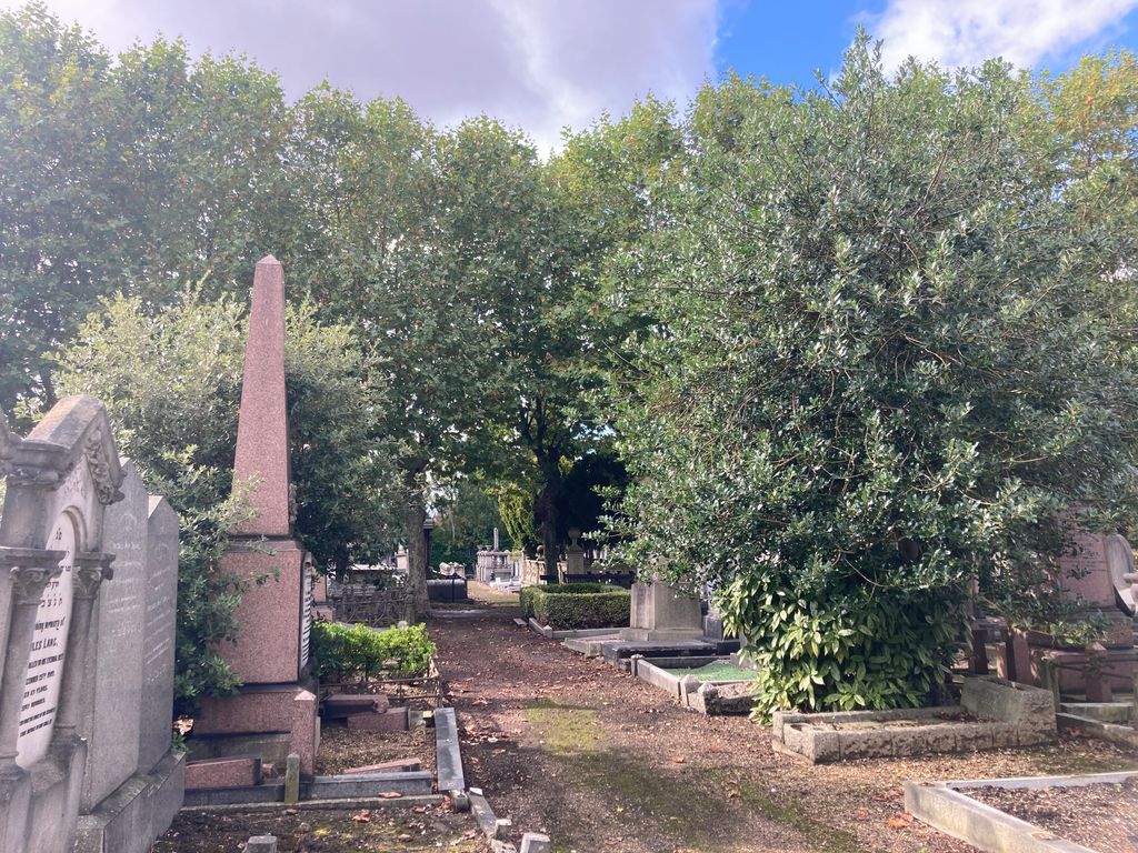 Stressed from work? Swap your desk for a walk in a leafy hideaway! Willesden Jewish Cemetery is a serene escape from the city’s bustle, close to London transport links. Research shows even a short walk in nature can slash stress and lift your mood - take yours today! 
 #wellbeing