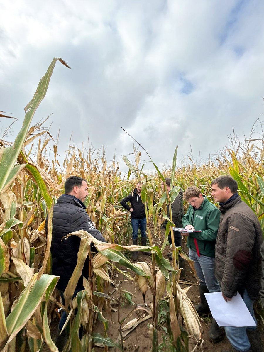 Groupe_ISSIPA's tweet image. 🌽Visite de nos essais maïs sur la ferme pilote d&apos;Estouy (45)