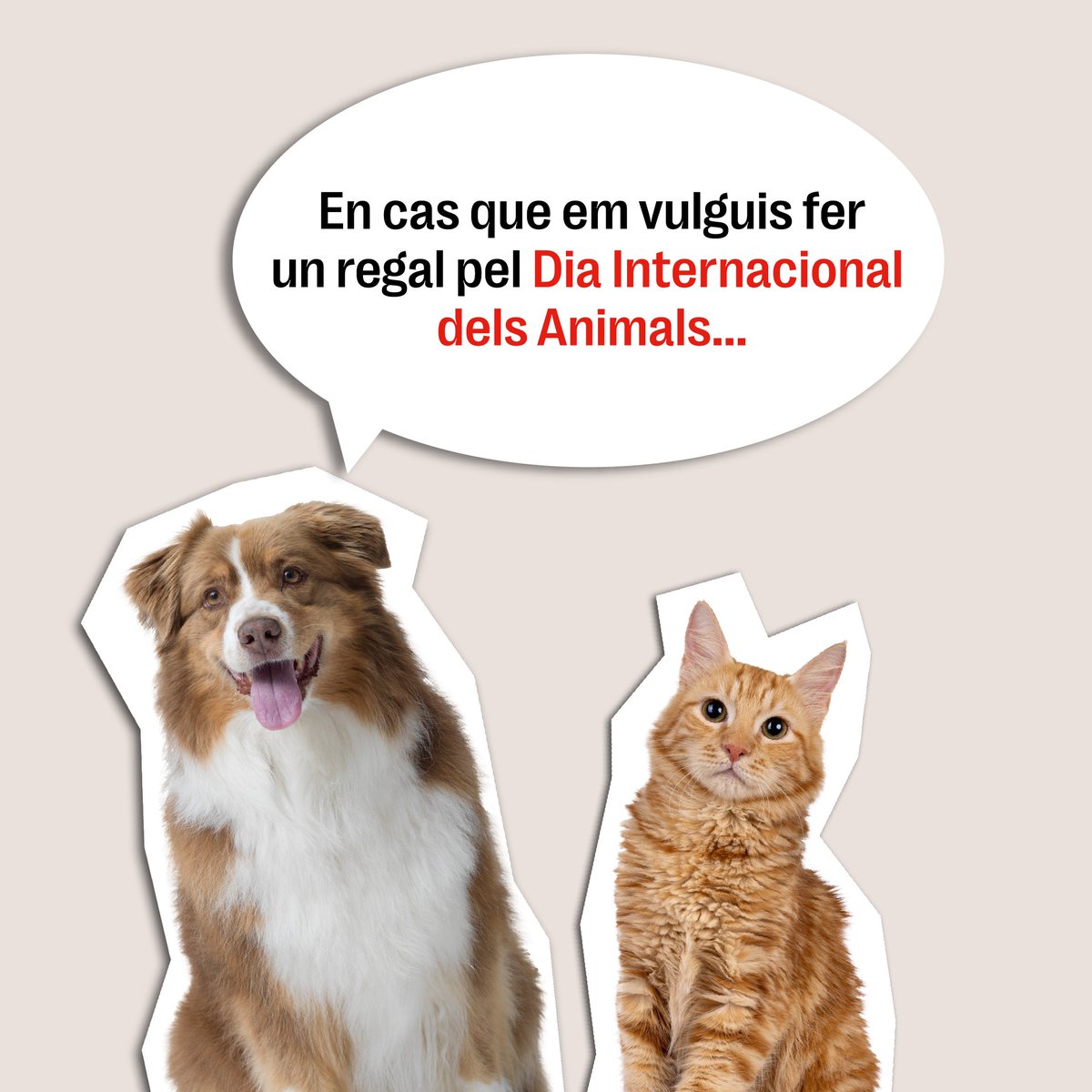 MUSSAP Mútua d'Assegurances tweet media