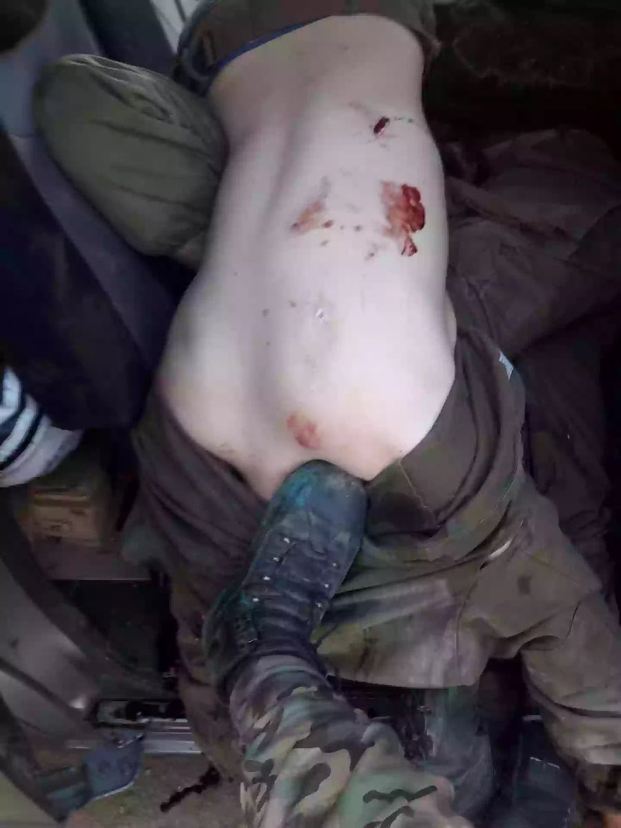 DoyleMeridian's tweet image. 