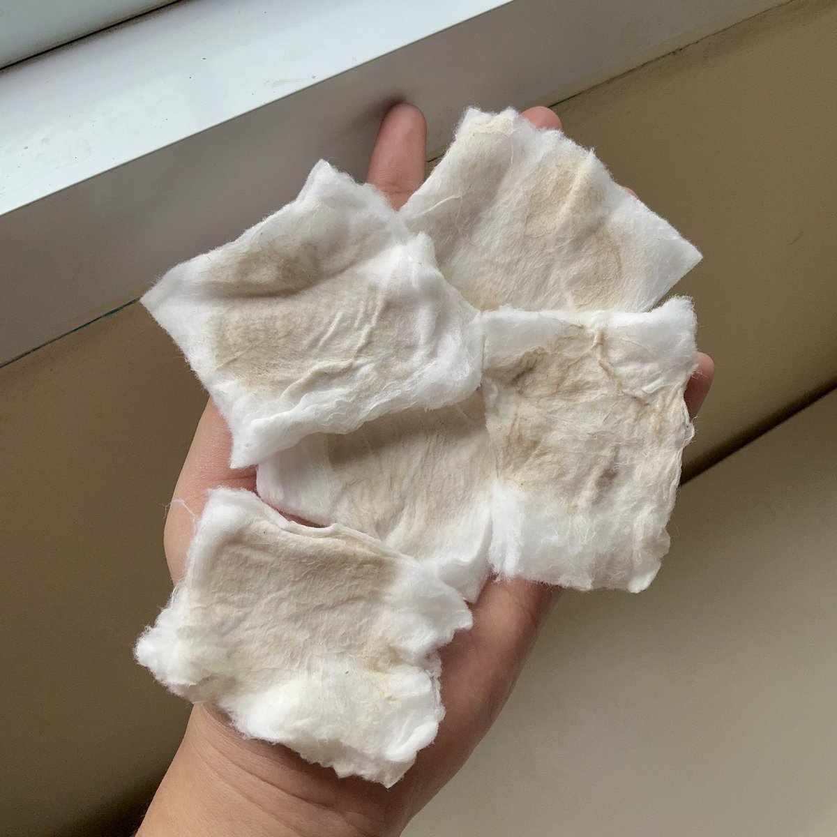 as you wish 🦋 tweet media