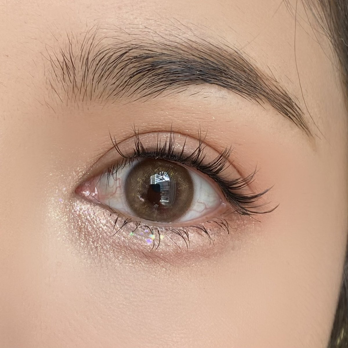 Manylens Angie Series สี brown คือใส่แล้วตาสวยมาก เลนส์สีน้ำตาลอ่อนที่มีกลิตเตอร์ประกายทอง ช่วยปรับให้ตาดูวิ้งค์น่ารักเพิ่มขึ้น 300% รุ่นนี้เลนส์นิ่ม ใส่สบาย ใครที่ใส่เลนส์ตัวไหนก็เจ็บก็เคือง มาลองตัวนี้คือใส่ได้ยาวๆเช้าถึงเย็น ดีงามมาก แนะนำเลย