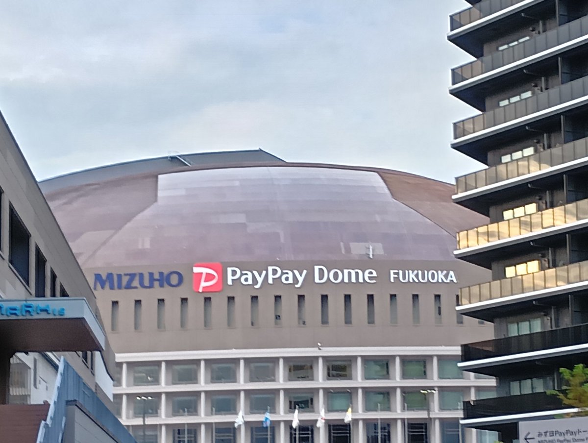 6年ぶりの野球観戦だ〜