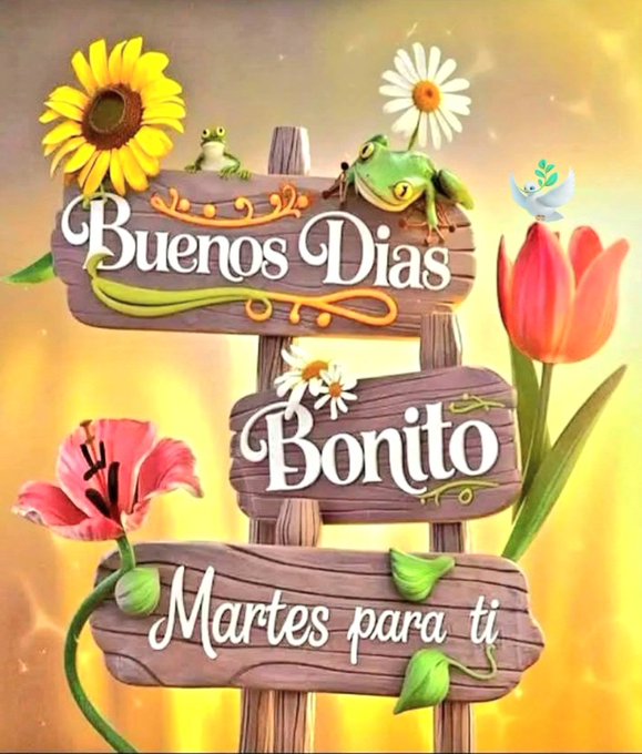 Three wooden signs with text reading "Buenos Dias", "Bonito", and "Martes para ti". Sunflowers, tulips, daisies, and a frog are visible on and around the signs. A dove is perched near the top sign.