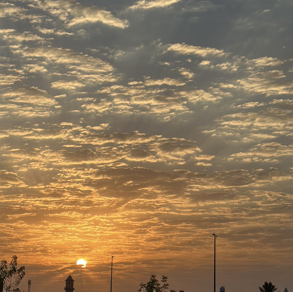 sshroq02's tweet image. شُروق