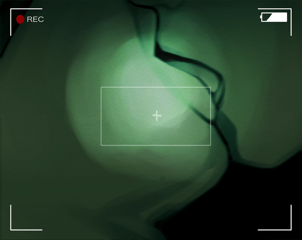 RDSCHEN_'s tweet image. Night vision cam Ghost. Might do an alternate version. Maybe spicy. I don’t know. #CallofDuty #SimonGhostRiley