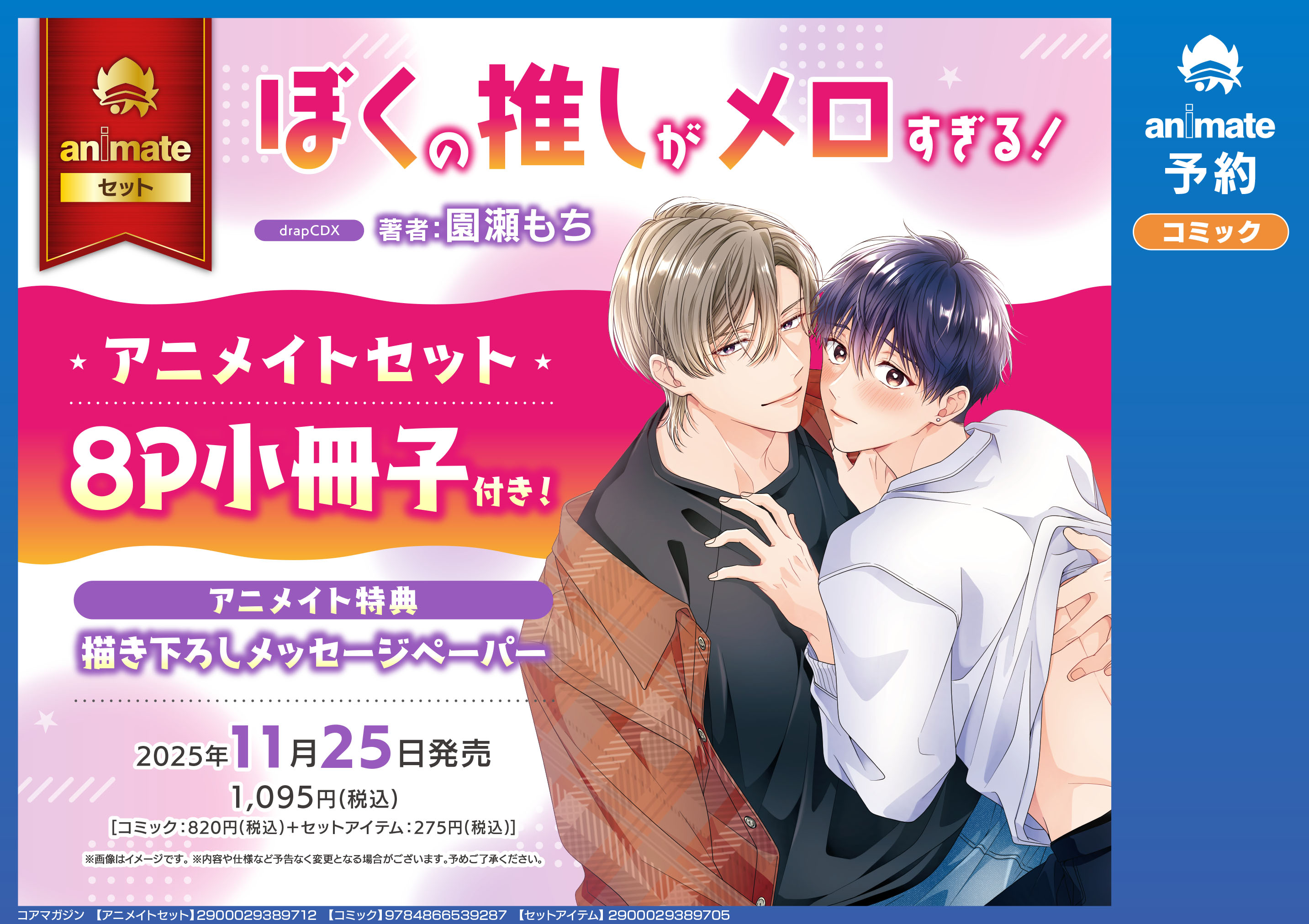 商業BL まとめ売り 25冊セット アニメイトなど　特典ファイル付き 商業BL まとめ売り 25冊セット アニメイトなど 特典ファイル付き