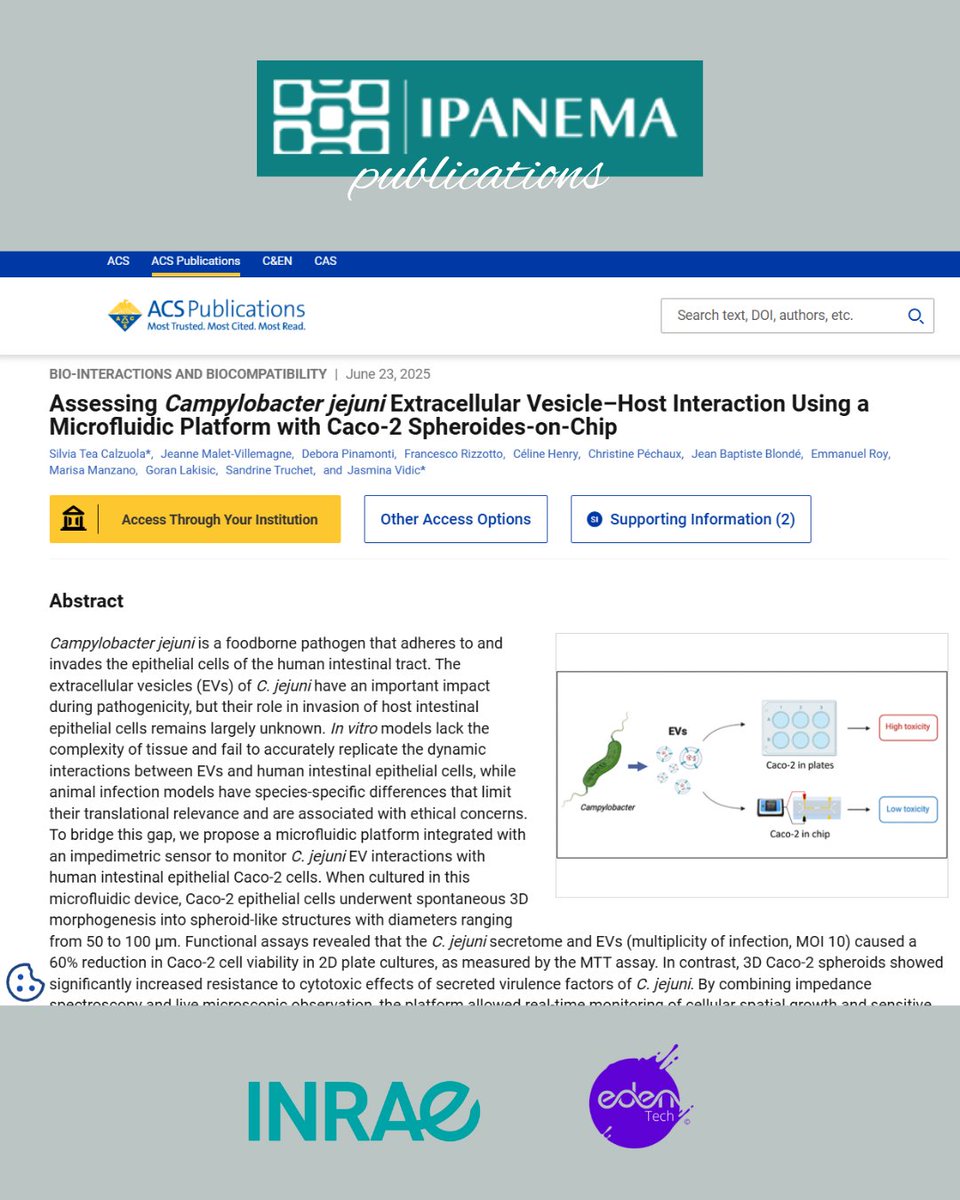 Ipanema2020 (@ipanema_2020) on Twitter photo #ipanema2020 may be over, but its impact continues!
⚡️New research from our partners brings new insights into pathogen-host interactions.
IPANEMA’s legacy lives on, advancing innovations in #agrifood and #microfluidics.
Read more: pubs.acs.org/doi/10.1021/ac…
<a href="/MSCActions/">Marie Skłodowska-Curie Actions</a> #ipanema2020 may be over, but its impact continues!
⚡️New research from our partners brings new insights into pathogen-host interactions.
IPANEMA’s legacy lives on, advancing innovations in #agrifood and #microfluidics.
Read more: pubs.acs.org/doi/10.1021/ac…
<a href="/MSCActions/">Marie Skłodowska-Curie Actions</a>