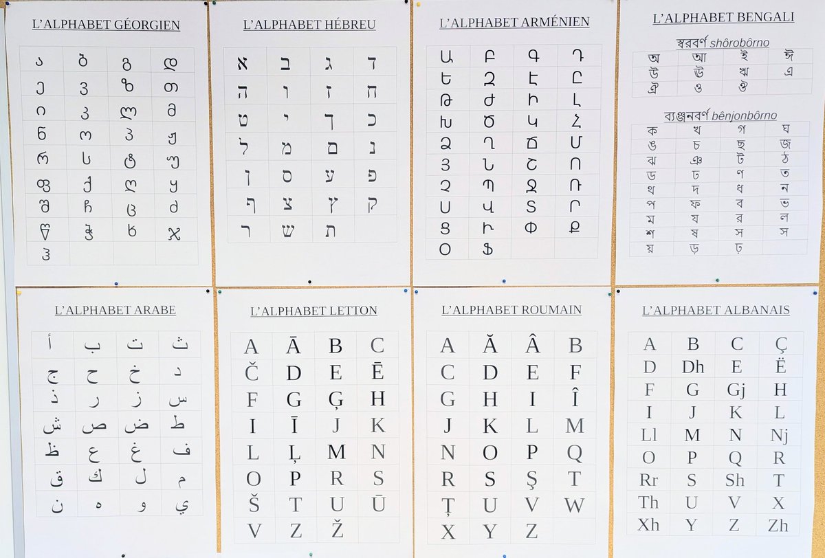 David 🇲🇫🇵🇹🏴󠁧󠁢󠁳󠁣󠁴󠁿🇬🇷🇸🇾🇲🇽🇲🇹 tweet media