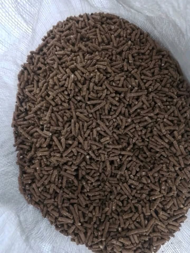 LandLordNXT77's tweet image. 🐇 RABBIT FEEDING TIPS 🐇

Rabbits can survive on grass and hay, but to grow well and reproduce better, they need small amounts of concentrates (pellets).

⚠️ Too much pellets isn’t healthy. Rabbits can’t live on pellets alone.

#RabbitFarming #LivestockTips #Agribusiness