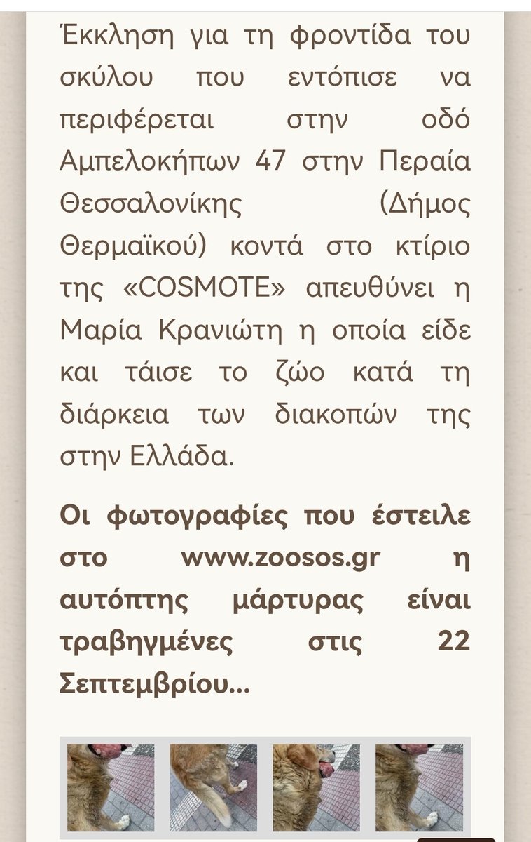 Περαία Θεσσαλονίκης ‼️🆘‼️🆘‼️🆘‼️σκυλάκι με όγκο στο στόμα του περιφέρεται αβοήθητο. Κοινοποίηση από fb ‼️‼️‼️‼️‼️‼️‼️‼️. Υπάρχει κάποιος να βοηθήσει το ζώο???? Αν κάποιος γνωρίζει κάτι νεώτερο να επικοινωνήσει με το zosos που το δημοσίευσε.