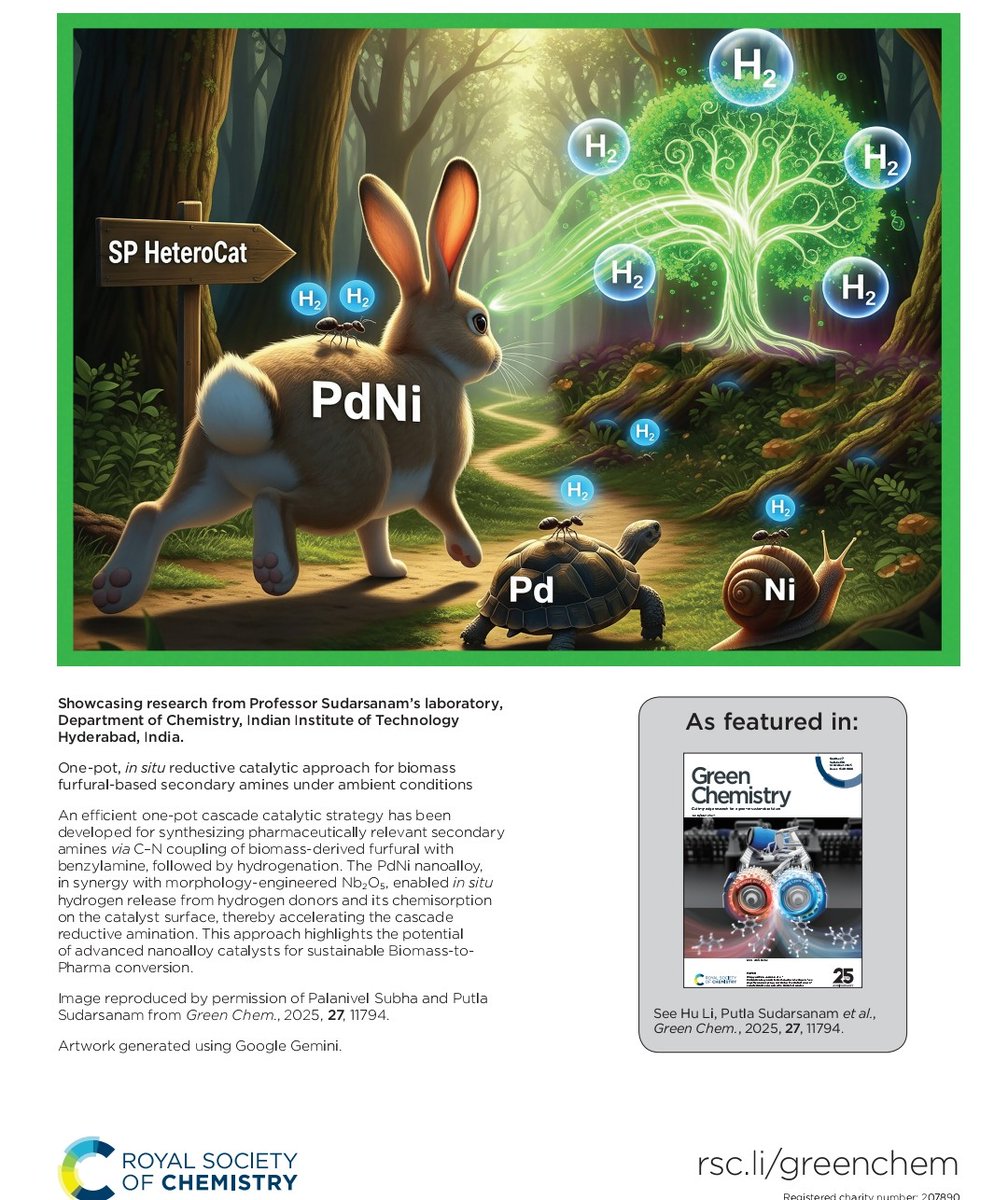 SP HeteroCat Lab tweet media