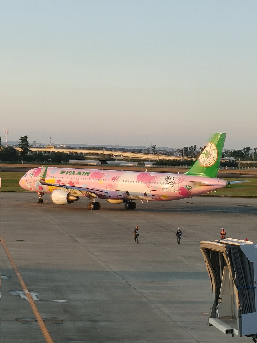 可愛いキティーちゃんカラーの飛行機を発見💕