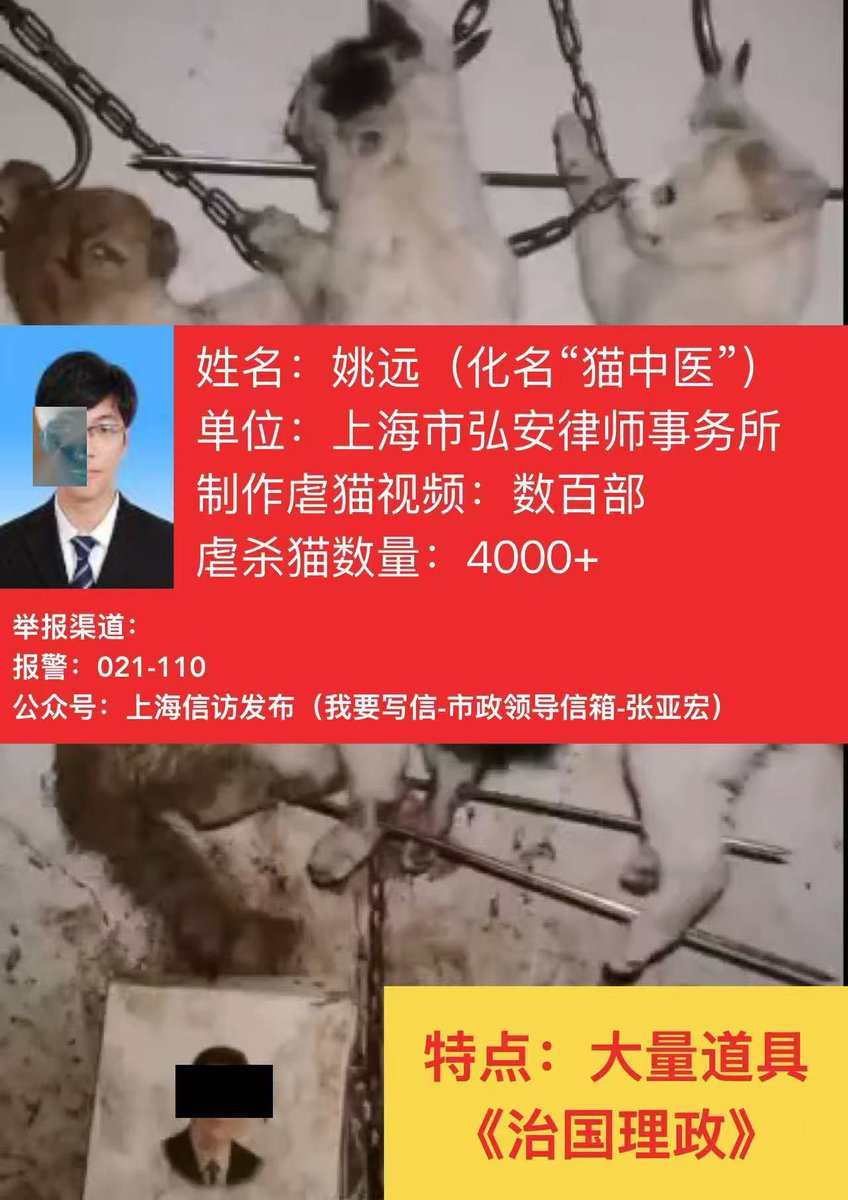 U04RKbrsDz6nO3l's tweet photo. Yao Yuan, a Shanghai resident who has long used the pseudonym "Cat Chinese Medicine," is active in the cat abuse community. He has produced and distributed hundreds of grisly videos depicting over 4,000 cats being tortured and killed. https://t.co/q5xJPu9eAZ