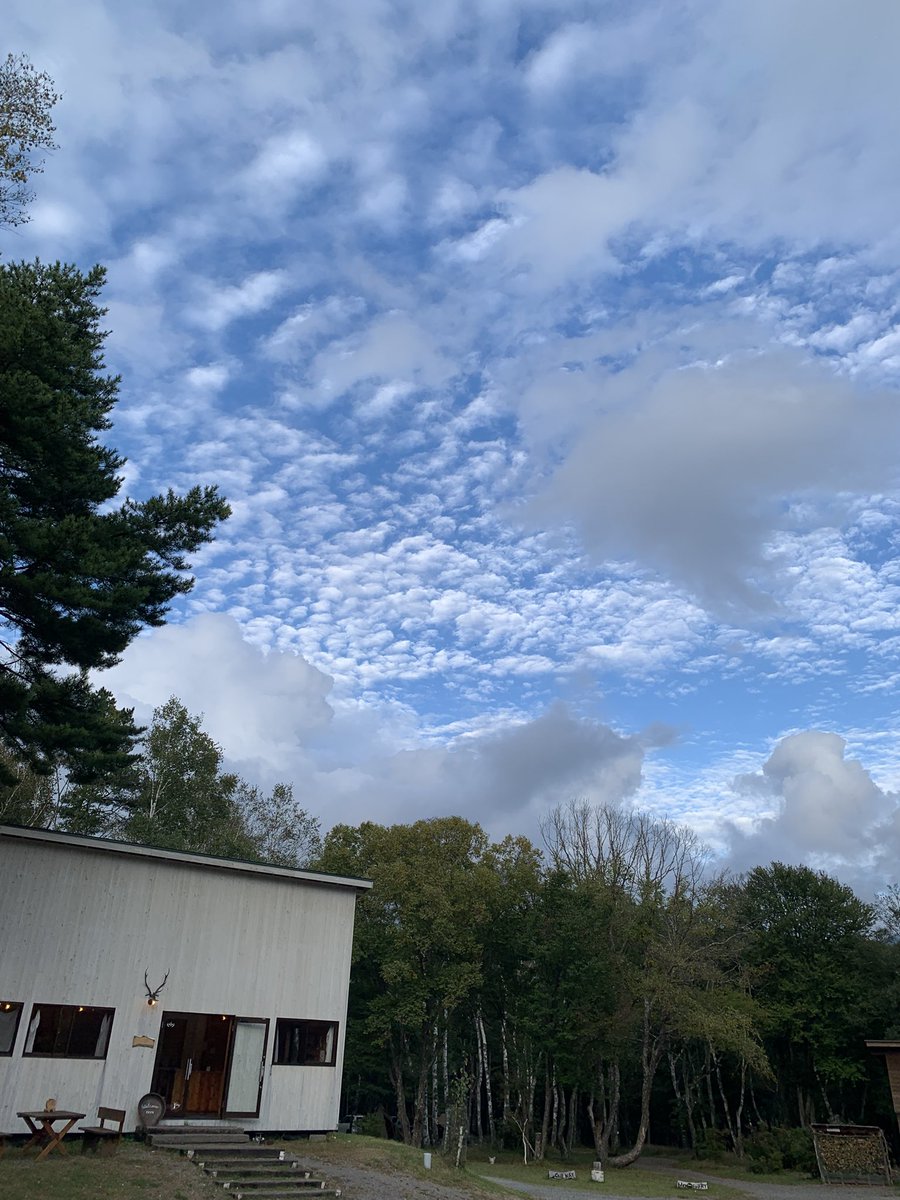 whitebirch_camp's tweet photo. 気温16度☁️

いつもSNSで見て憧れてたやつ🤩
キッドなどご自身で作られてるそう

自然の中で飲むコーヒーは格別ですよねー
＃whitebirch_camp_field  
＃まぢぇさん https://t.co/EqYtWi61Ti