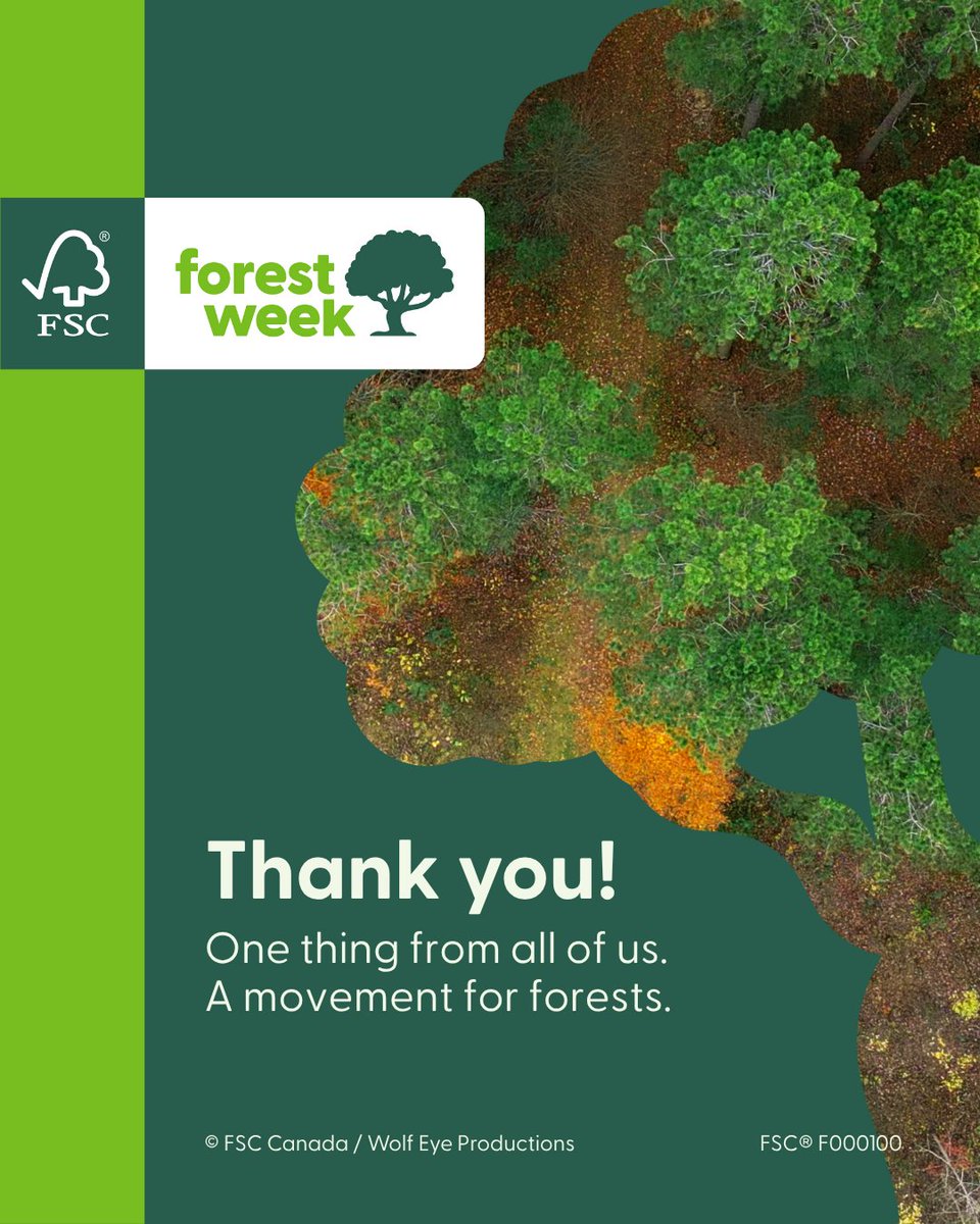 FSC_IC's tweet image. Thank you for following along this FSC Forest Week! Whichever way you or your organization celebrated, it’s making a difference. What was the one thing you did for forests?  

fsc.org/forestweek #FSCForestWeek