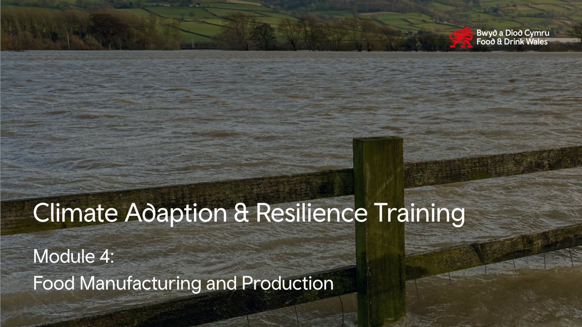 🦺 Have you ever walked your production lines with climate risk in mind?

👉 Module 4 of the Climate Adaptation and Resilience Training Programme helps you spot risks and build resilience—step by step.

📧 bwyd.food@bic-innovation.com

#ClimateResilience #SustainableProduction
